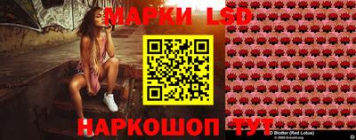 индика Гусь-Хрустальный