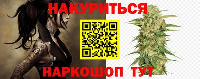 индика Гусь-Хрустальный