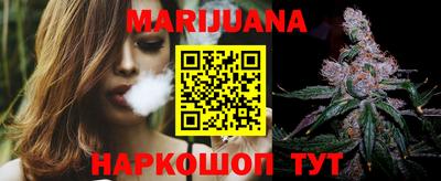 индика Гусь-Хрустальный